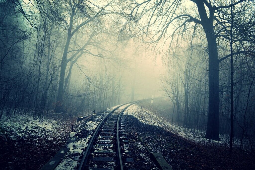 Train track in a forest that is full of fog.