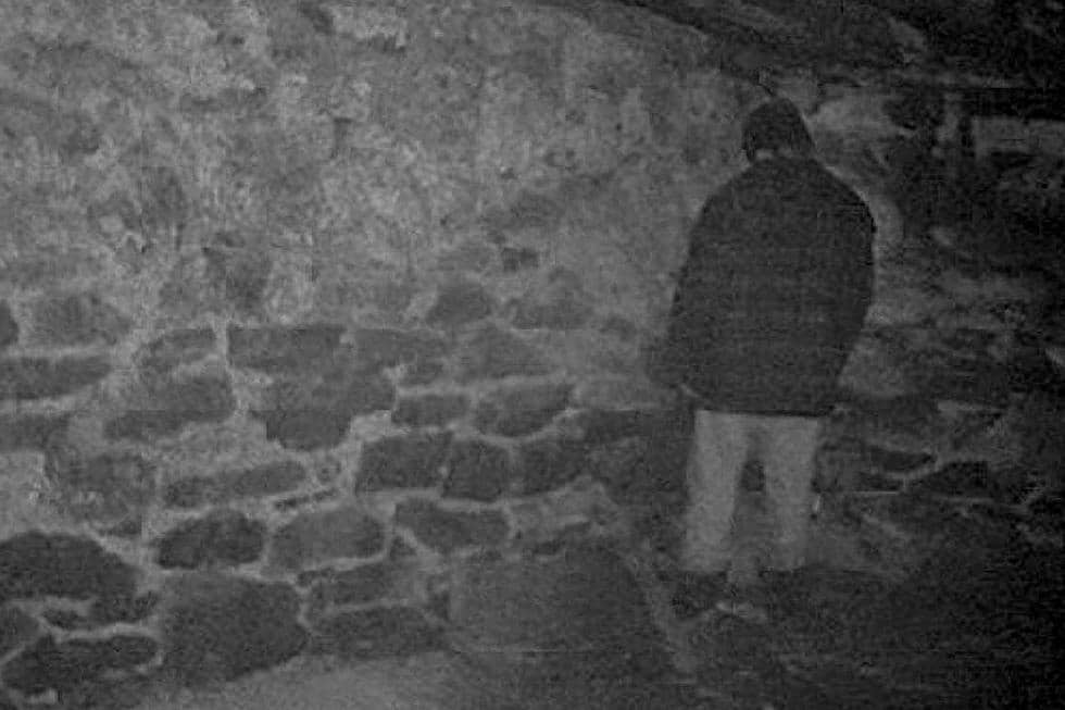 A famous scene from The Blair Witch Project