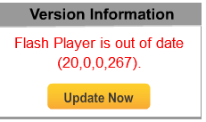 Flash Player Version Information